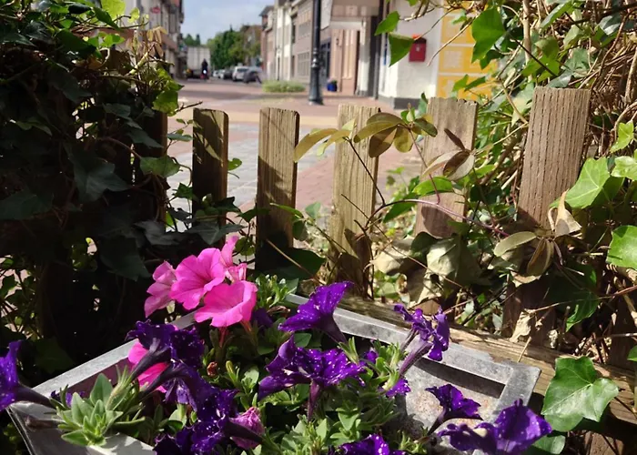 Oude Haven Alloggio in famiglia Borculo