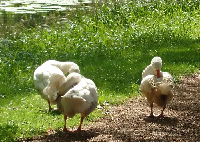 Oude Haven * Borculo