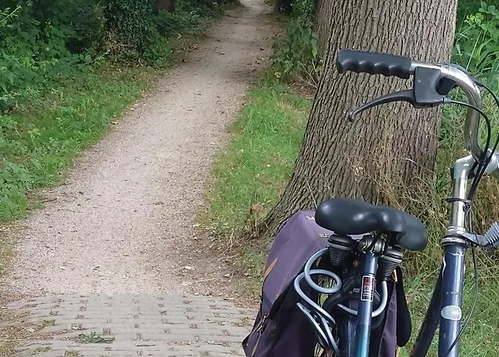 Oude Haven * Borculo